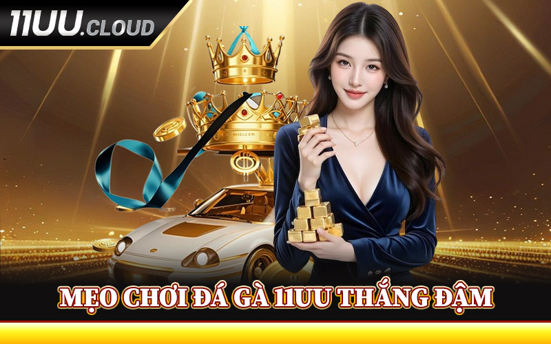 Mẹo Chơi Đá Gà 11UU Thắng Đậm