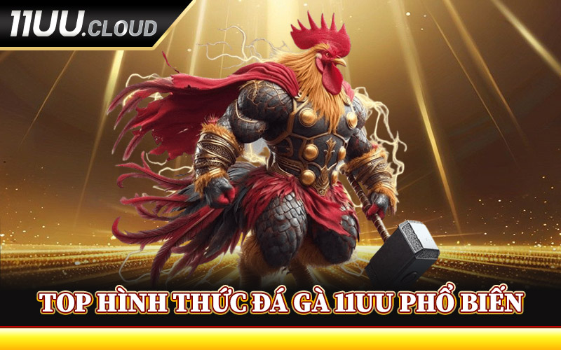 Top Hình Thức Đá Gà 11UU Phổ Biến